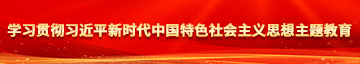 老头扣逼学习贯彻习近平新时代中国特色社会主义思想主题教育